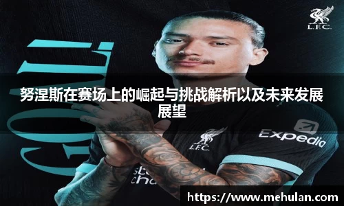 努涅斯在赛场上的崛起与挑战解析以及未来发展展望